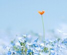 あなたの潜在能力と将来性(可能性)を鑑定します 自分の可能性を知ってから世の中に打って出よう イメージ1