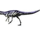 恐竜のイラスト承ります リアル風、デフォルメ、PC壁紙、画像データ イメージ2