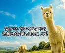 タロットをめくりながら、気軽にお話お聞きします 難しく考えることをやめて、ゆっくりしてみませんか？ イメージ1