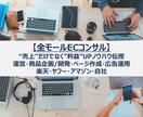 月額 ECビジネス拡大目指して親身にコンサルします スタートしたばかり、伸び悩んでる店舗を本気でサポートします！ イメージ1