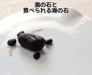 メディア出演多数なシェフが特別なレシピを作成します 料理初心者さん歓迎⭐︎オーダーメイドレシピ開発＋料理指導 イメージ8