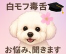 2月限定！1000円で1時間なんでもお悩み聞きます 白モフ毒舌犬お悩み相談｜今話せる即レスチャット イメージ1