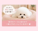 愛犬のお留守番、不安なお気持ちお聞きしますます お留守番が苦手な愛犬を一緒にサポートします イメージ4