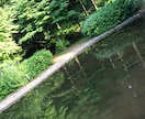 話し相手します あなたの声、お話、なんでも聴かせてください イメージ1
