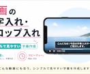 動画に字幕、モザイク入れます YouTube動画、ショート動画への字幕、モザイク挿入 イメージ3
