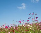 あなたの心に寄り添い、自己肯定感を高めます 自己肯定感を育て、自分に優しくなれる時間を イメージ5
