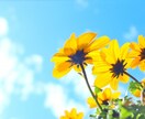運動不足解消❗️自宅で毎日10分の体操応援します まずは7日間!一緒にトライ♪習慣化を目指しましょ✨ イメージ8