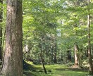 彼の一言で天国と地獄になる恋をしてる人相談のります 彼に振り回される恋愛、もうやめたい人の相談のります イメージ2