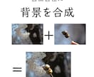 ダメな写真も、高度な画像加工で生き返ります 撮影してもらった商品写真に不満がある方へ イメージ9