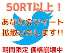 50RT以上！Twitter宣伝お手伝いします 拡散グループ運営中！質の高いメンバー多数在籍！ イメージ1