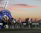 北海道競馬!南関東競馬!やります 人気ない馬が・・・そんな馬を何頭か馬券に絡めてみませんか? イメージ1