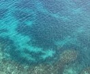 沖縄の海の写真となっています 宮古島・久高島・座間味・本島の写真です イメージ10