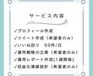 限定価格！30日間Twitter運用代行します 見込み客の集客、マネタイズ導線の構築をサポートします。 イメージ2