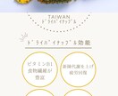 フライヤー承ります 格安でお願いしたい方必見です！ イメージ1