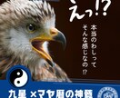 九星×マヤ×カードで本質鑑定とお悩み診断します 強みも悩みの原因も、全方位から解明。もう迷わない！ イメージ1