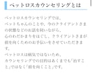 ペットロスカウンセラーが悲しみに寄り添います 気軽にペットロスケア♡ペットちゃんとの思い出をお聴かせ下さい イメージ2