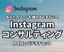 Instagramのコンサルティングします 〈初月限定価格〉月4回のビデオチャットであなたをサポート イメージ1