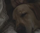 ほのんとお話しよ〜？友達みたいに楽しくお話しします ちょっと休憩˚✧1分でも☺︎一緒にほっとする時間を過ごそうね イメージ3