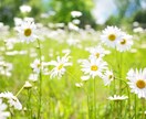 恋のお悩みをお話ししながらお悩みも鑑定します 【誰かに聞いてほしい】◇その気持ちを一緒に整えていきます☽ イメージ5