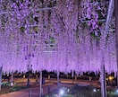 岡崎(三河)周辺｜スマホで写真撮影代行します 現地に行けない方の代わりに撮影します イメージ5
