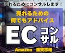 ECサイト初心者に！アマゾン・楽天の売上改善します 「売れない理由がわからない」売るためのアドバイスECコンサル イメージ1