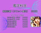 彼の本音と未来を霊感タロットで占います 見えない心の距離、タロットで明らかに イメージ7