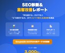 SEO診断＆集客改善レポートを作成します 何を直すかだけでなく設定値までコピペで使える具体策を納品 イメージ1