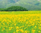 介護されている方の辛い気持ち受け止めます 介護がつらい、きつい、、正直な気持ちを吐きだしてください イメージ3
