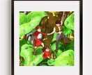 スヌーピー風似顔絵　ウェルカムボード作成します かわいいスヌーピーの画風であなたの門出をお祝い！ イメージ7