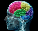 ユダヤ式記憶術！記憶力を高める方法を教えます 脳ミソは使わないと、どんどん衰えていきます…。 イメージ1