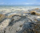 生活の中で撮れる自然な写真を提供ます 初心者ならではの自然な視点での写真です イメージ4