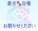 かわいい愛犬のお話をチャットで聞きます うちの子自慢して下さい。1時間500円~♪ イメージ1