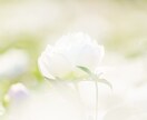 子どもの未来と本質を霊視し、芯を捉えて導きます あらゆる人生の悩みに、未来を切り開く霊視を。可能性の開花へ イメージ7