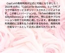女性向け！！Youtube動画編集します 女性のセンスで女性向けのYoutube動画編集をします！ イメージ2