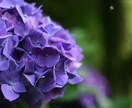 貴方の「最強の味方」になってくれる石をご提案します 【秘密厳守】になっておりますので安心してご利用頂けます。 イメージ2