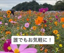 あなたのお話ゆっくり聞きます あなたの「話したい」を、安心して預けられる場所に。 イメージ1