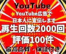 YouTube広告で日本人再生回数と評価増やします ★日本人にプロモーション★再生回数2000回＋評価100件✨ イメージ8