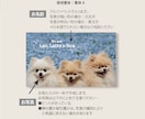 ペット・うちの子名刺をお気に入り写真で作成します デザイナーへのセミオーダーで両面印刷100枚送料込 イメージ5