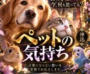 ペットの気持ち｜あの子があなたに伝える真実を視ます 愛するペットの本当の気持ち・家族への想い・今望んでいること イメージ1