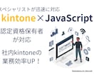 kintoneのカスタマイズ開発・改修を代行します 定期対応や長期運用もご相談ください（法人様歓迎） イメージ1