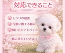 子犬の悩み相談のります 子犬の飼い方・しつけ相談、なんでもOK イメージ2