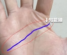 初回限定1,000円◆知能線から才能診断します 鑑定だけで終わりじゃない。今できる行動まで一緒に考えます イメージ2