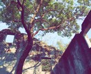 自然の写真を提供いたします 旅行先で撮った写真を提供いたします。 イメージ3