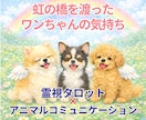 虹の橋を渡ったワンちゃんの気持ち霊視で読み解きます あの子は幸せだった？お空の愛犬の想いをタロットでお伝えします イメージ1