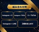 SNS複数アカウントを1ヶ月まとめて運用代行します 複数のSNSを1つの窓口で。総フォロワー400万人のチーム イメージ4