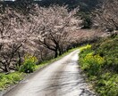 採用担当経験者が採用業務を代行します 秘書経験もあり。何事にも柔軟に対応できるように努めます！ イメージ1