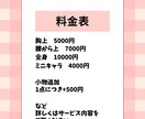 SNS用の可愛いアイコンを描きます 可愛いイラストを制作します！お気軽にご相談ください！ イメージ2