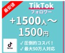 最安★TikTokのフォロワー数増やします アカウントの"影響力"を高めるお手伝いをします！1500人分 イメージ1