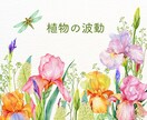 フラワーエッセンス♡自然のちからで心を整えます じっくりお話を伺って背中を押します☘本来のエネルギーへ イメージ2