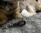 自己肯定感上げるお手伝いします 何なら生きてるだけで100万点です。 イメージ1